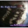 Mr. Right Cowl - Free Men's Crochet Cowl Pattern