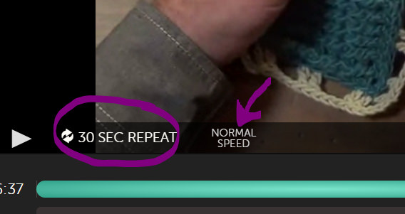Craftsy Class Navigation 30Sec Repeat & Speed